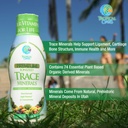 tropical-oasis-premium-ionized-plant-bas-5.jpg