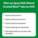 jigsaw-health-multi-mineral-essential-bl-6.jpg