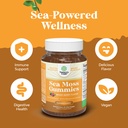 bundle-of-kids-magnesium-gummies-calm-re-5.jpg