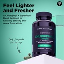 vital-vitamins-vegan-collagen-booster-ch-4.jpg