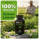 blood-sugar-support-supplement-natural-p-4.jpg