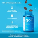 goli-ashwagandha-vitamin-d-gummy-60-coun-6.jpg