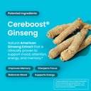 neuro-memory-focus-sleep-recharge-set-me-5.jpg