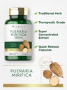 carlyle-pueraria-mirifica-capsules-120-c-3.jpg