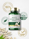 carlyle-white-kidney-bean-200-count-non--5.jpg