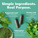 her-fantasy-box-body-magic-chlorophyll-c-2.jpg