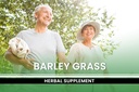 pure-original-ingredients-barley-grass-3-5.jpg
