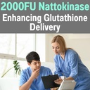 shizam-600mg-nac-2000-fu-100mg-nattokina-5.jpg