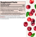 andrew-lessman-cranberry-benefits---60-c-2.jpg