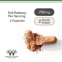 resveratrol-supplement-500mg-per-serving-6.jpg