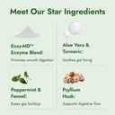 ibs-support-vitamin-d-psyllium-husk-fenn-4.jpg