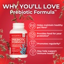 health-plus-prebiotic-formula-probiotics-3.jpg