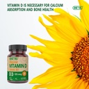 deva-vitamin-d3-5000-iu-sunshine-supplem-5.jpg