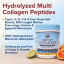 terranics-multi-collagen-peptides-powder-3.jpg