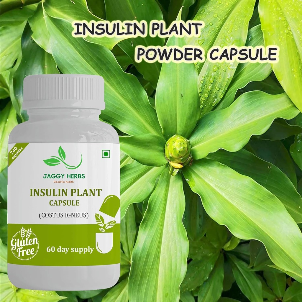 generic-jaggy-premium-insulin-plant-caps-2.jpg
