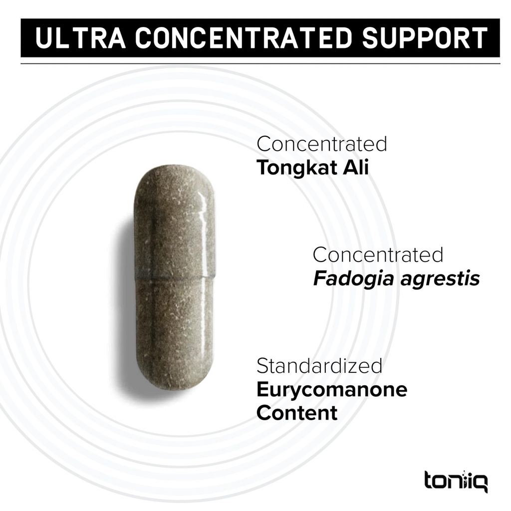 tongkat-ali-fadogia-agrestis-ultra-high--3.jpg