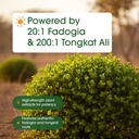 naturebell-fadogia-agrestis-240-capsules-6.jpg
