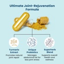 bb-company-provitalize-probiotics-for-wo-3.jpg