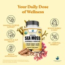 american-standard-supplements-organic-se-5.jpg