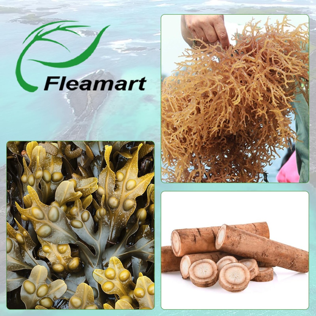irish-sea-moss-capsules-pills-with-raw-s-5.jpg