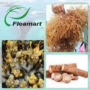 irish-sea-moss-capsules-pills-with-raw-s-5.jpg