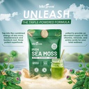 kiki-green-irish-sea-moss-powder-8-oz-wi-2.jpg