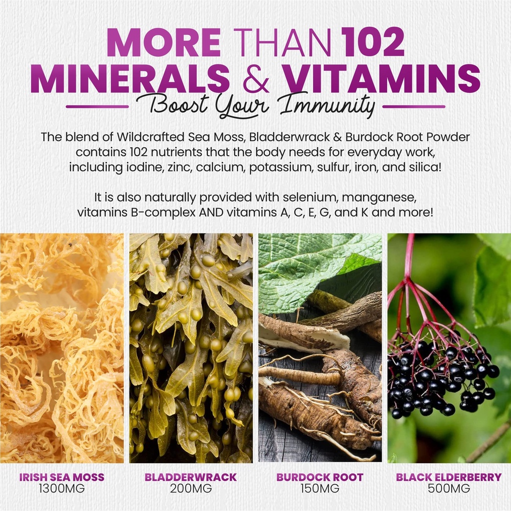 sakoon-nutrition-irish-sea-moss-gummies--5.jpg