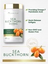 carlyle-sea-buckthorn-oil-capsules-200-s-4.jpg
