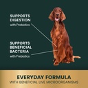 vetriscience-gut-health-chews-probiotic--4.jpg