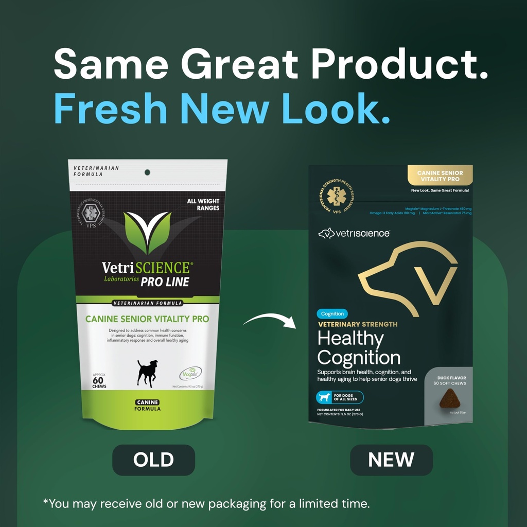 vetriscience-veterinary-strength-healthy-2.jpg