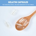 size-00-empty-gelatin-capsules-separated-3.jpg