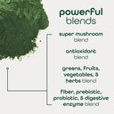 zena-nutrition-organic-super-greens-powd-6.jpg
