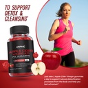 orphic-nutrition-apple-cider-vinegar-gum-5.jpg