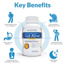holistic-health-labs-gut-alive-all-natur-4.jpg