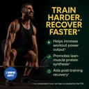 b-ready-turkesterone-supplement-500mg-12-2.jpg