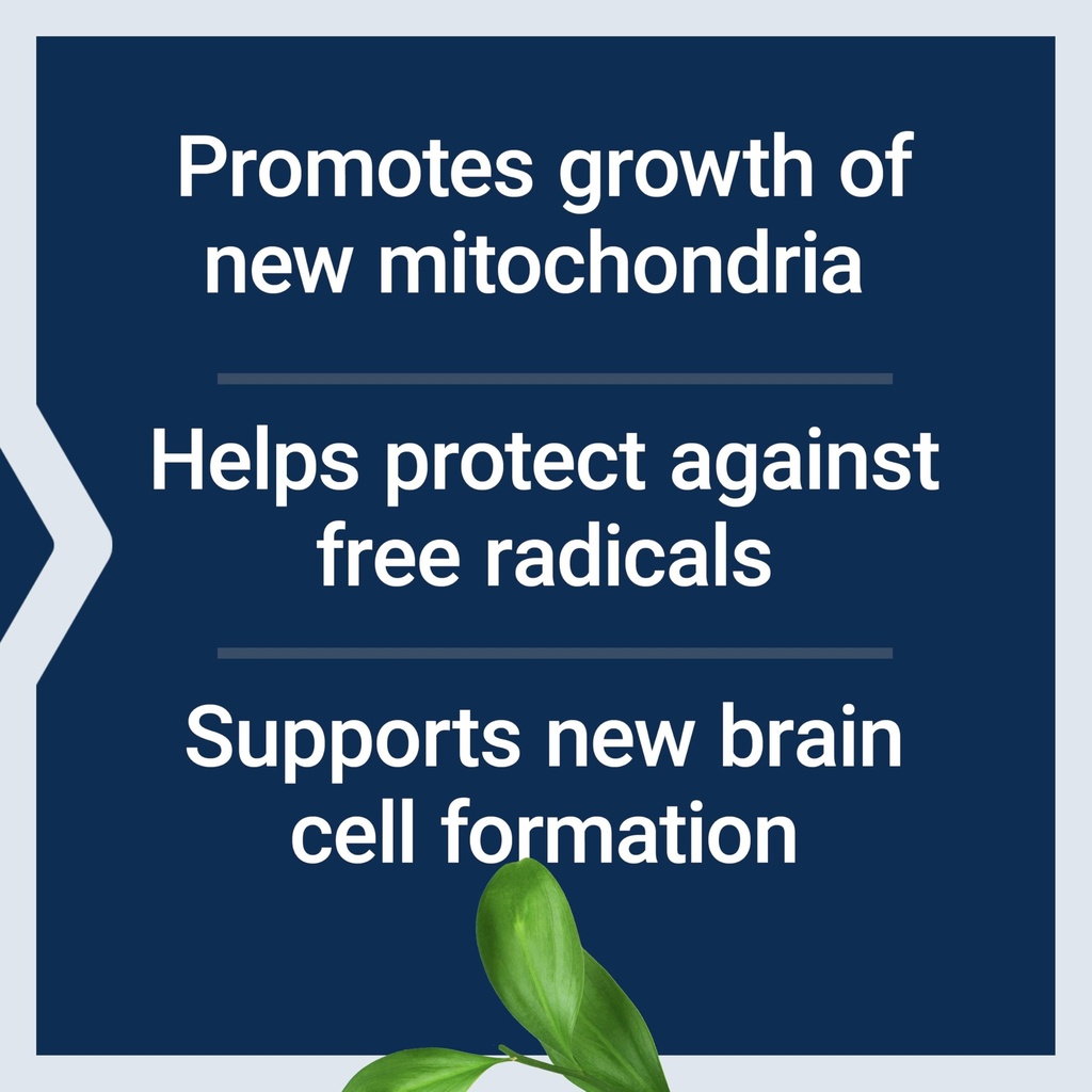 life-extension-mitochondrial-basics-with-4.jpg