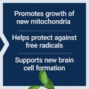 life-extension-mitochondrial-basics-with-4.jpg