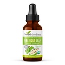 herbal-goodness-soursop-leaf-papaya-leaf-2.jpg