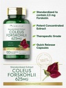carlyle-coleus-forskohlii-capsules-100-c-3.jpg