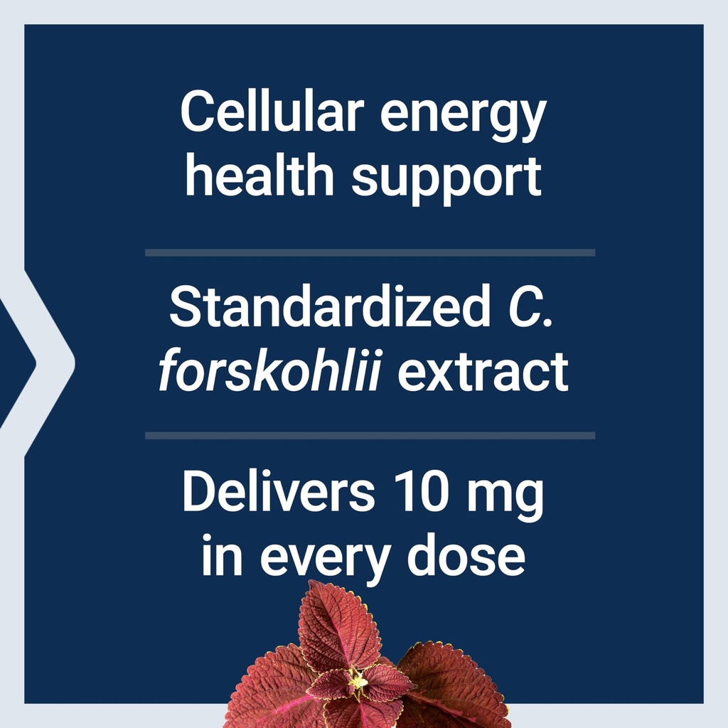 life-extension-forskolin-coleus-forskohl-4.jpg