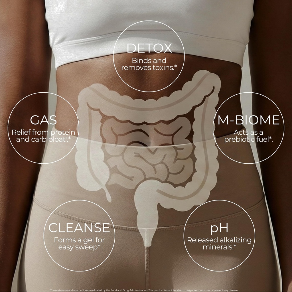 todicamp-melanin-rich-physiology-colon-c-5.jpg