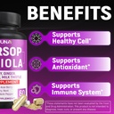soursop-graviola-capsules-with-elderberr-5.jpg
