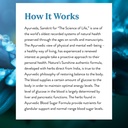 nature-s-sunshine-blood-sugar-formula-10-6.jpg