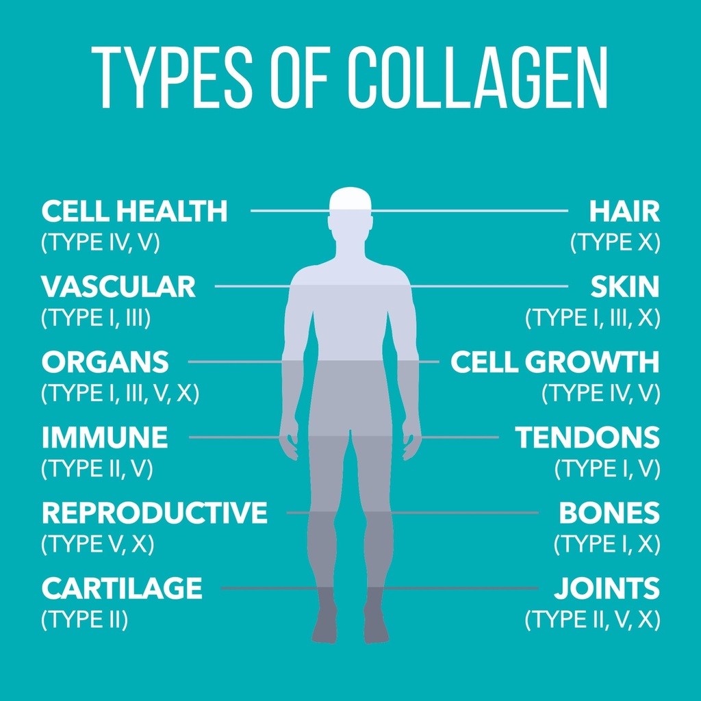 naturesplus-collagen-peptides-0-65-lbs-p-4.jpg