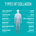 naturesplus-collagen-peptides-0-65-lbs-p-4.jpg
