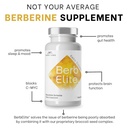 mara-labs-berbelite-350mg-berberine-hcl--5.jpg