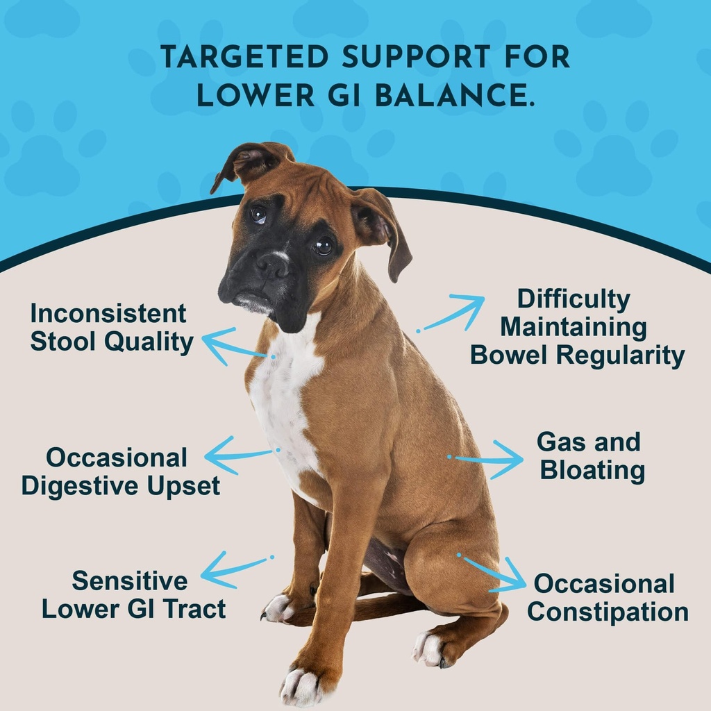 animal-essentials-colon-rescue-for-dogs--2.jpg