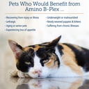 rx-vitamins-amino-b-plex-cat-dog-supplem-4.jpg