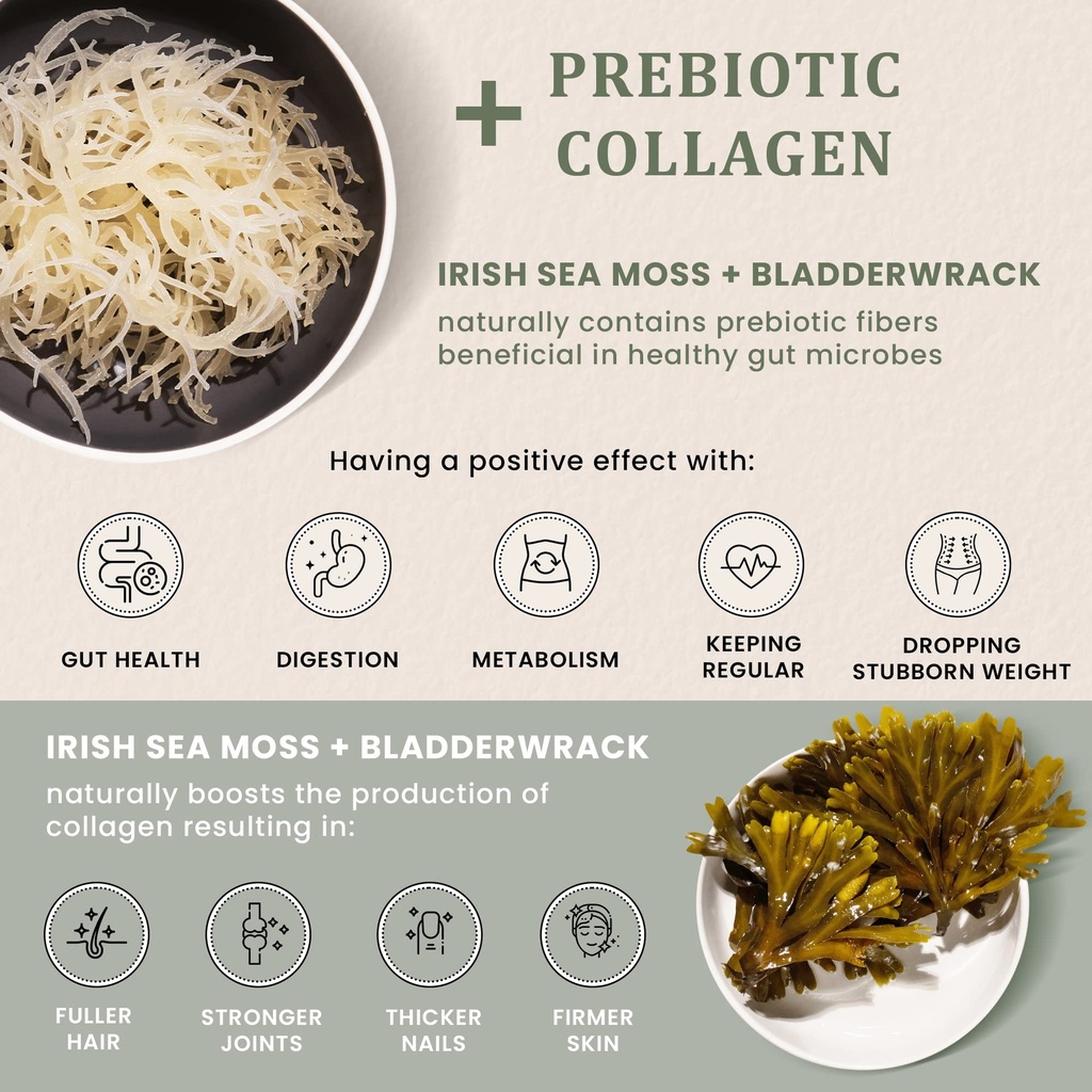 gold-sea-moss-superfood-bundle-organic-s-3.jpg