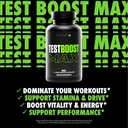 sculpt-nation-by-v-shred-test-boost-max--2.jpg